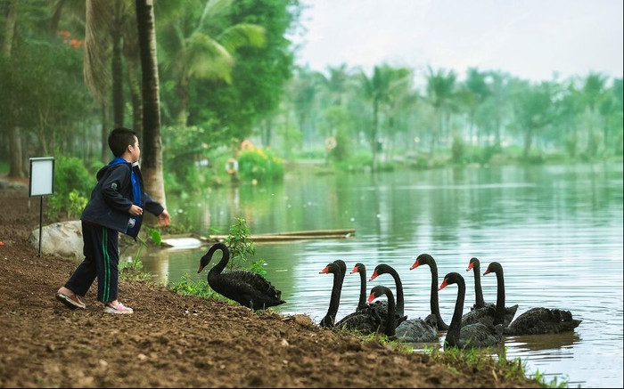 Ecopark - khu đại đô thị xanh “rừng trong phố, phố trong rừng” vốn đã nổi tiếng từ hơn 10 năm nay eco-1703-3-826.png