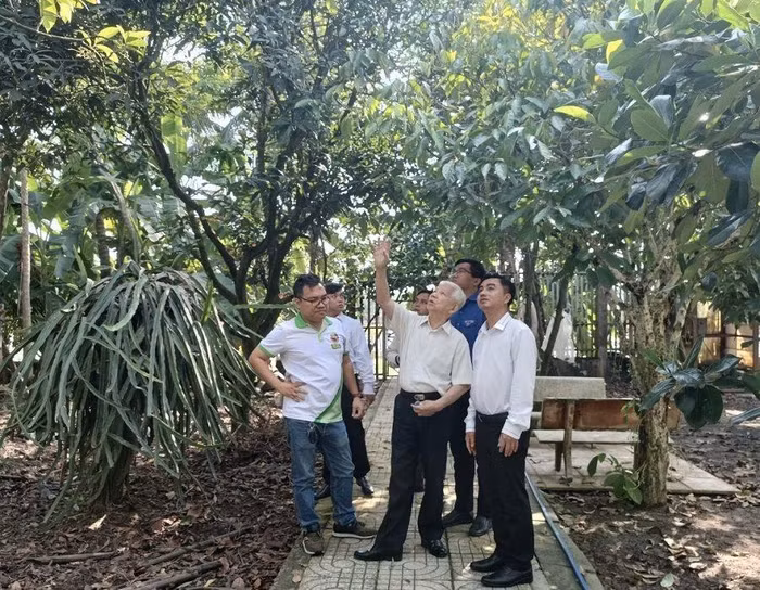 Nguyên Chủ tịch nước Nguyễn Minh Triết dẫn các nhà nông trẻ xuất sắc tham quan vườn cây xanh rợp bóng mát của gia đình ông và hòa vào thiên nhiên bình yên