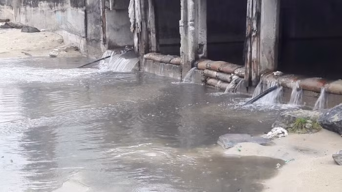 Bảo vệ môi trường là một trong những yêu cầu và cam kết của các hiệp định thương mại FTA