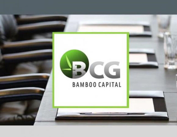 Bamboo Capital (HOSE: BCG) dự kiến chào bán 60 triệu cp giá 20,000 đồng/cp