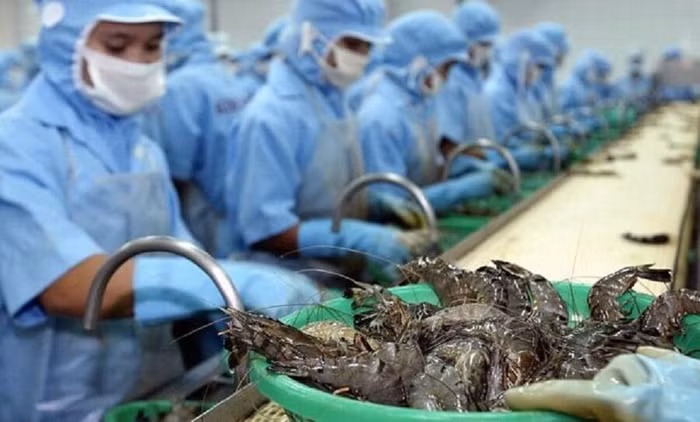 Mỹ chính thức áp mức thuế chống bán phá giá tôm Việt Nam về 0%