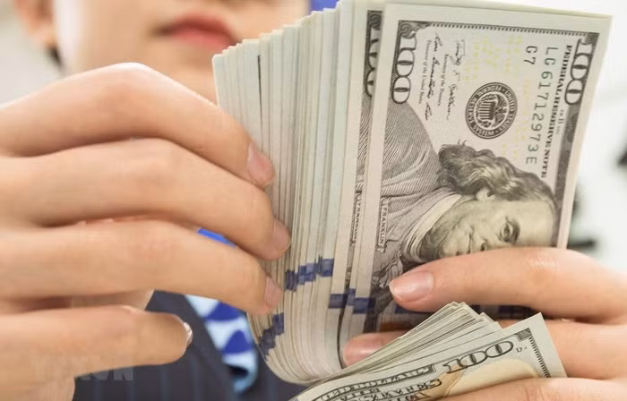 Tỷ giá ngoại tệ ngày 10/2: Đồng USD tiếp tục suy yếu