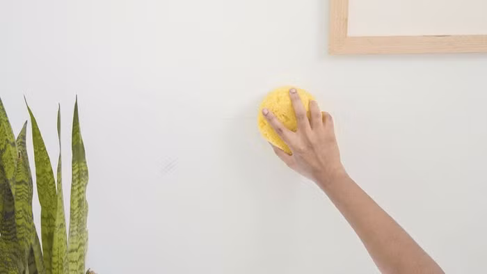 Giữ tường nhà sạch, đảm bảo sức khỏe cả gia đình