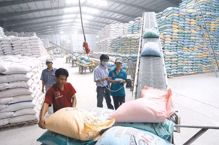 Xuất khẩu gạo: Bài toán về giá và quyền lợi quốc gia