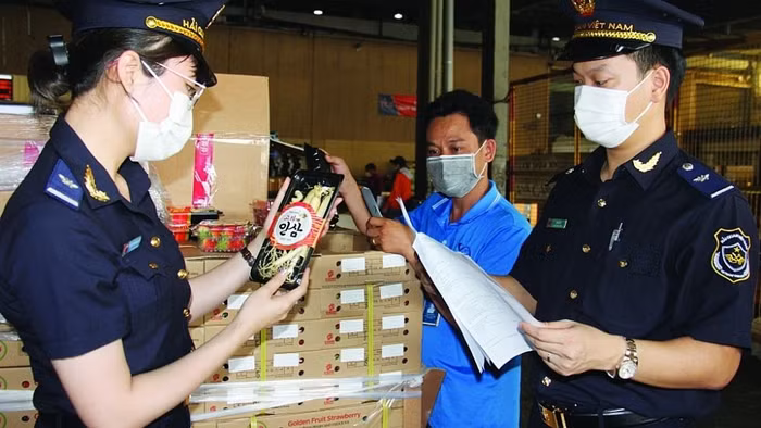 Hải quan sân bay Tân Sơn Nhất xử phạt một doanh nghiệp vì nhập khẩu hơn nửa tấn vaccine trái phép ảnh 1