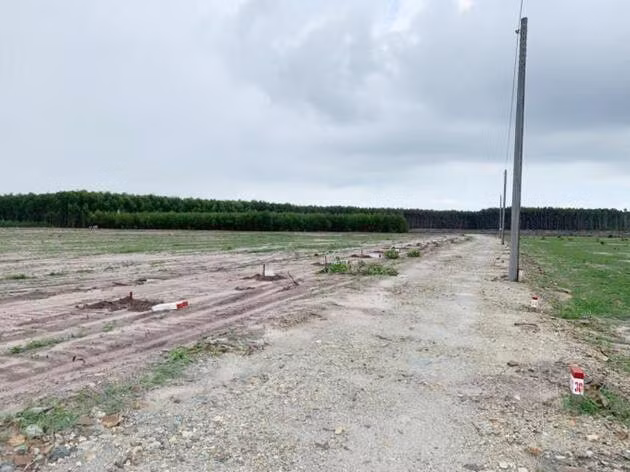 Bà Rịa – Vũng Tàu yêu cầu xử lý nghiêm trường hợp tự ý phân lô, tách thửa