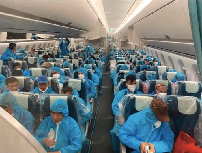 Rưng rưng hai tiếng "Kiều bào" ảnh 4