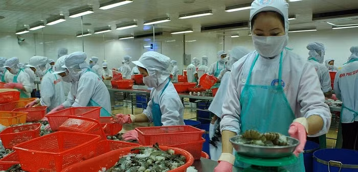 Tiếp cận thị trường “dễ tính”: Cẩn trọng trước những rủi ro