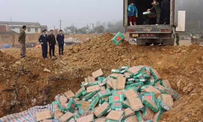 Hàng chục tấn thực phẩm không đảm bảo an toàn thực phẩm được đem đi tiêu hủy