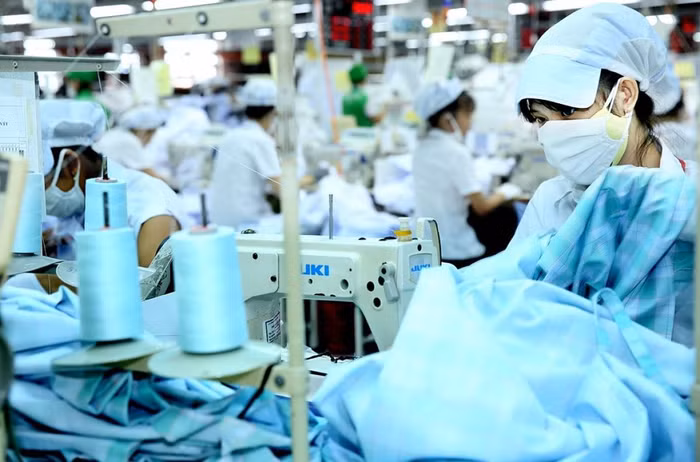 May Phan Thiết trả cổ tức cao hơn giá trị cổ phiếu