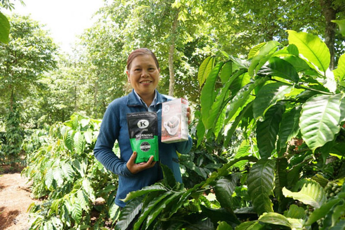 K Coffee cùng nông dân làm cà phê chuẩn quốc tế UTZ và BRC
