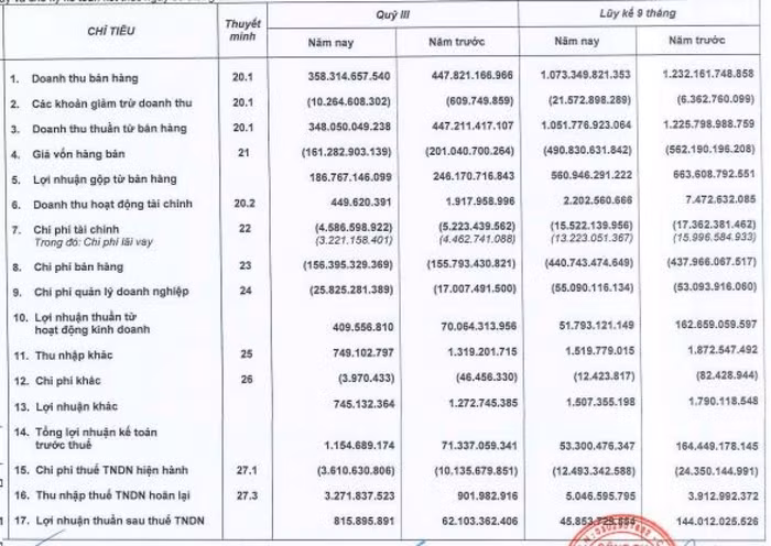 Kido và các "vệ tinh" vẫn chật vật trong kinh doanh ảnh 3