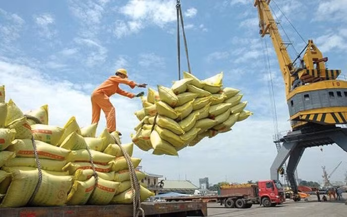 Có dấu hiệu trục lợi chính sách và thao túng việc xuất khẩu 400 nghìn tấn gạo lúc nửa đêm