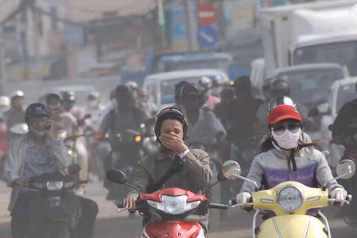 Sức khỏe tốt nhờ không gian sống xanh ảnh 1 Sức khỏe tốt nhờ không gian sống xanh ảnh 1