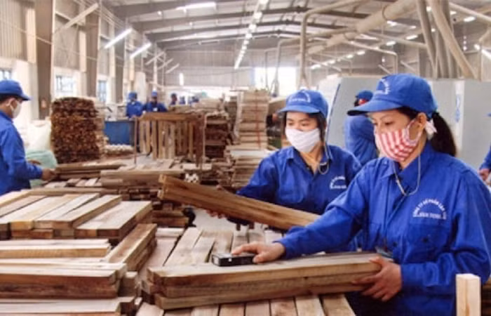 Ra khỏi diện kiểm soát, cổ đông TTF có nên hi vọng?