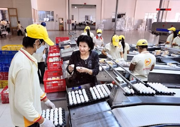 Trứng sạch Ba Huân muốn “ly hôn” Vinacapital