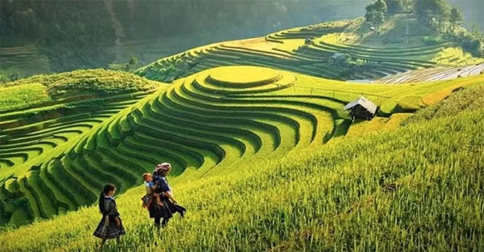 Tây Bắc với những ruộng lúa bậc thang đẹp hút hồn