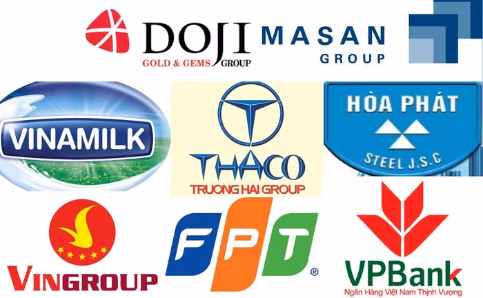 Trường Hải, Vinamilk, Hòa Phát, DOJI... lọt Top 10 công ty tư nhân lớn nhất Việt Nam 2016