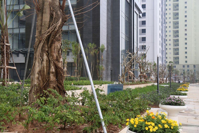 Đây là lý do khiến giá bất động sản phía Tây Hà Nội tăng cao ảnh 1 Đây là lý do khiến giá bất động sản phía Tây Hà Nội tăng cao ảnh 1