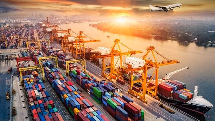 thị trường xuất khẩu