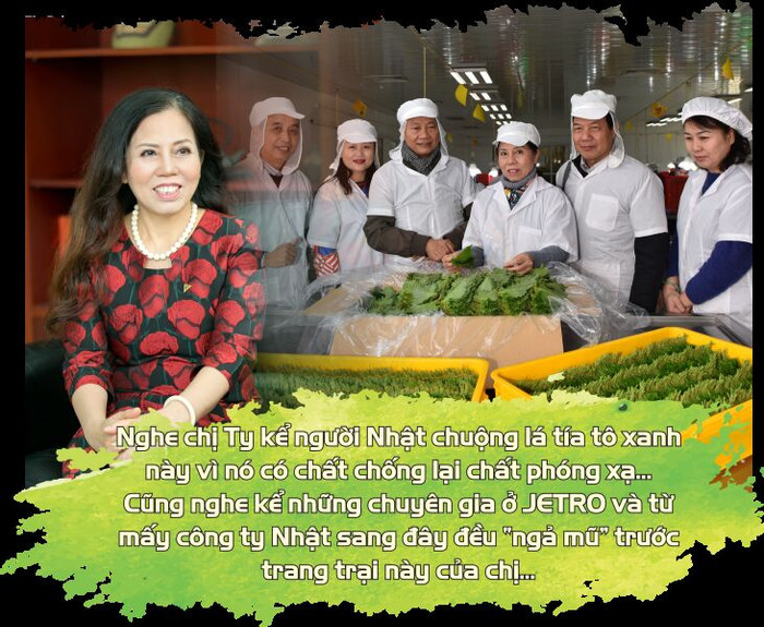 Nữ doanh nhân Ninh Thị Ty: Mãi tinh thần khởi nghiệp và cống hiến ảnh 8