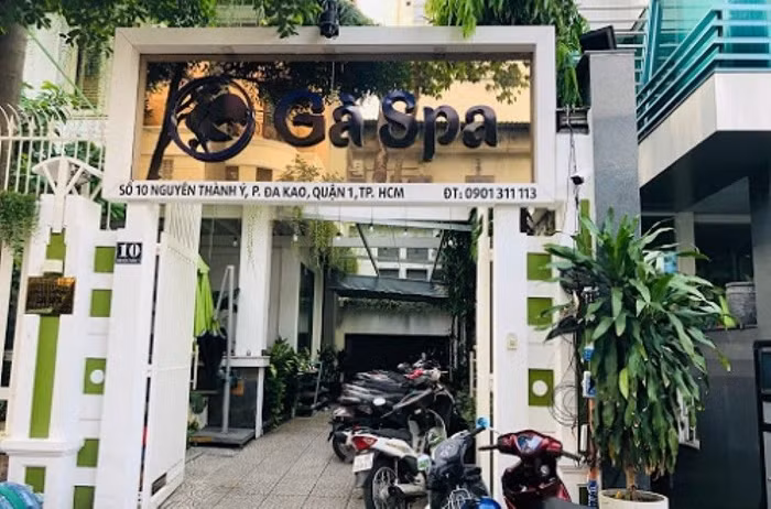 Gà Spa dẫn đầu danh sách bị phạt với số tiền 206,5 triệu đồng