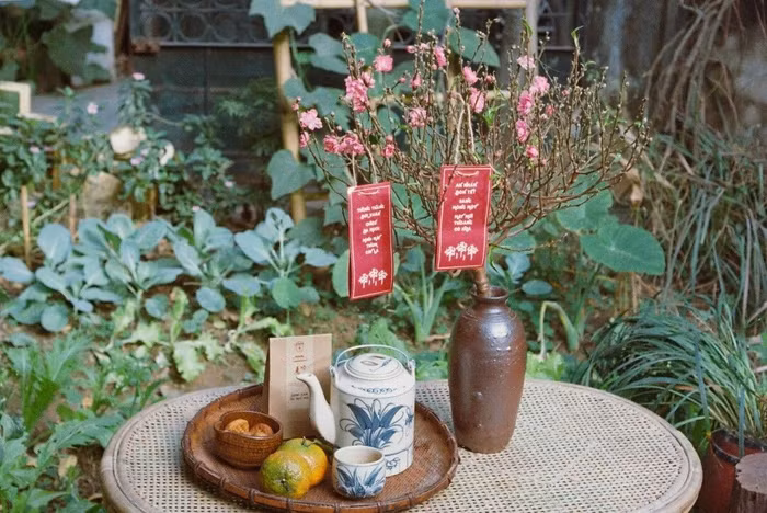 "Khởi nghiệp như một cách “Trả nợ rừng”