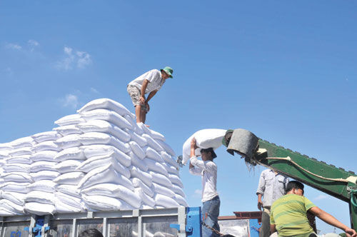 Kiến nghị Thủ tướng cho nhập đường thô để tiết kiệm ngoại tệ