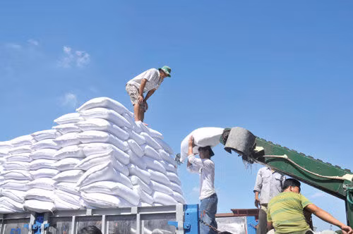 Kiến nghị Thủ tướng cho nhập đường thô để tiết kiệm ngoại tệ
