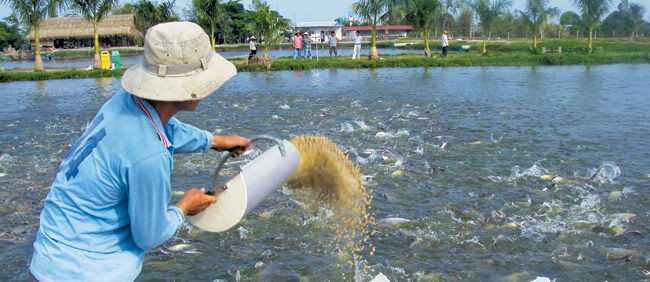 Kiểm tra đột xuất và xử lý nghiêm những vụ việc sử dụng chất cấm