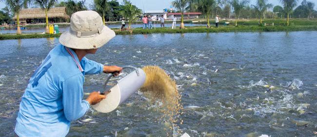 Kiểm tra đột xuất và xử lý nghiêm những vụ việc sử dụng chất cấm