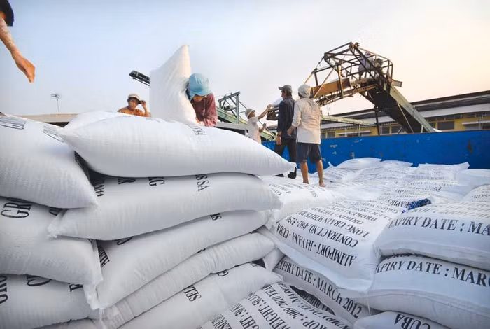 Việt Nam tiếp tục duy trì thị phần xuất khẩu gạo tại Philippines