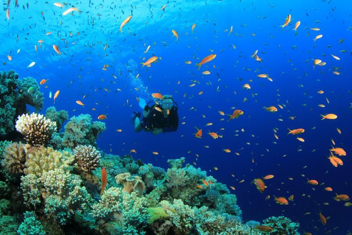 Phú Quốc được bầu chọn là “Hòn đảo có thiên nhiên hấp dẫn hàng đầu thế giới” ảnh 7 Phú Quốc 7