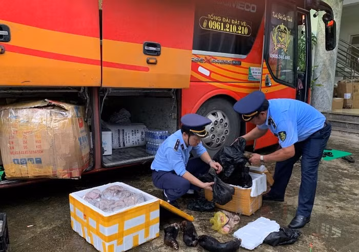 Tạm giữ phương tiện vận chuyển hàng hóa nhập lậu trên địa bàn tỉnh Quảng Bình