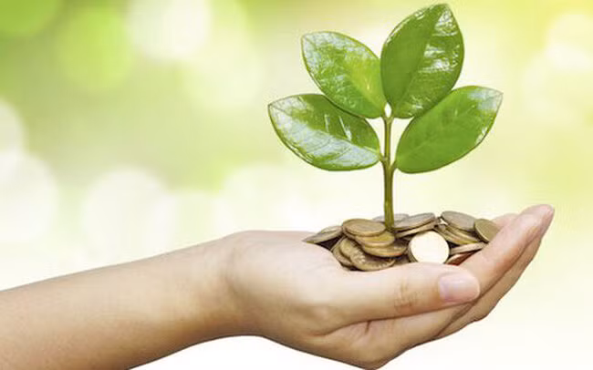 25 doanh nghiệp chốt quyền nhận cổ tức từ 11/10 đến 15/10/2021