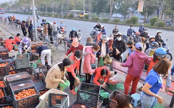 Hải Dương: 50% sản lượng nông sản đã được tiêu thụ