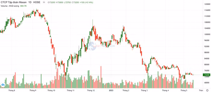 Công ty Cổ phần Tập đoàn Masan 