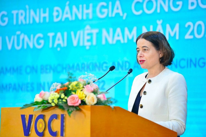 Phát động chương trình đánh giá, công bố các doanh nghiệp bền vững 2022 ảnh 2