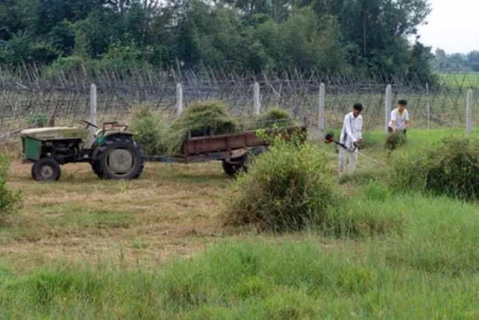 Các Khu Công nghiệp Bàu Đưng, Phước Hiệp và Xuân Thới Thượng được quy hoạch hàng chục năm nhưng không triển khai đã gây ảnh hưởng đến cuộc sống của người dân và dẫn đến tình trạng đơn thư khiếu nại kéo dài những năm qua ở TPHCM - Nguồn ành: Cổng thông tin điện tử TP. HCM