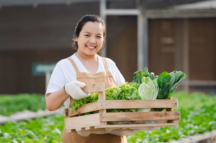 Bidv tung gói vay 170.000 tỷ lãi suất hấp dẫn cho cá nhân