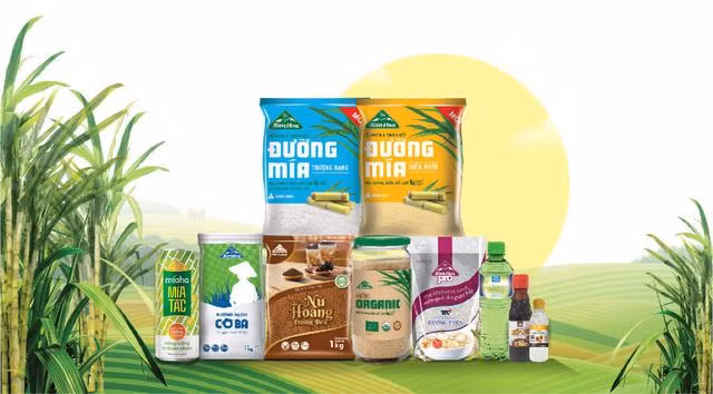 SBT chia cổ tức