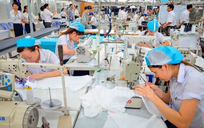 6 tháng đầu năm có 75.900 doanh nghiệp đăng ký thành lập mới