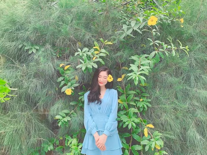 Đan xen giữa màu xanh của cây lá, sắc vàng tươi vui của hoa leo hoàng thảo sẽ là điểm nhấn đặc biệt cho khuôn hình thêm lung linh. (Ảnh: Thảo Phùng)