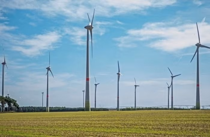 Xúc tiến khởi công Dự án cụm trang trại điện gió B&T hơn 8.900 tỷ đồng