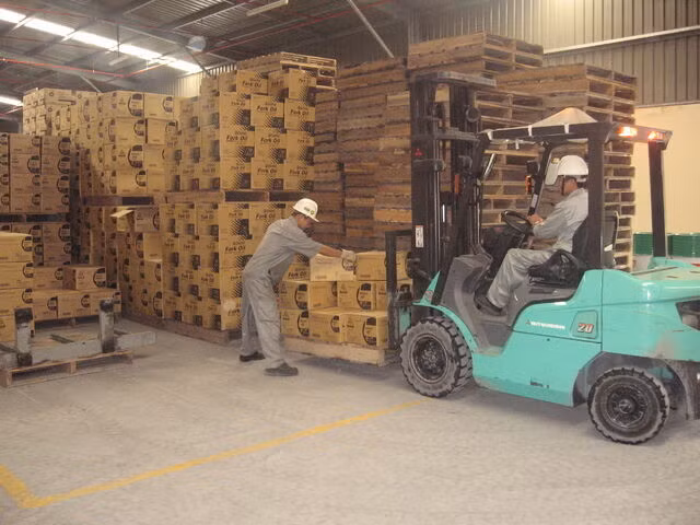 Bộ Công thương quy hoạch 116 kho bãi để thúc đẩy xuất nhập khẩu