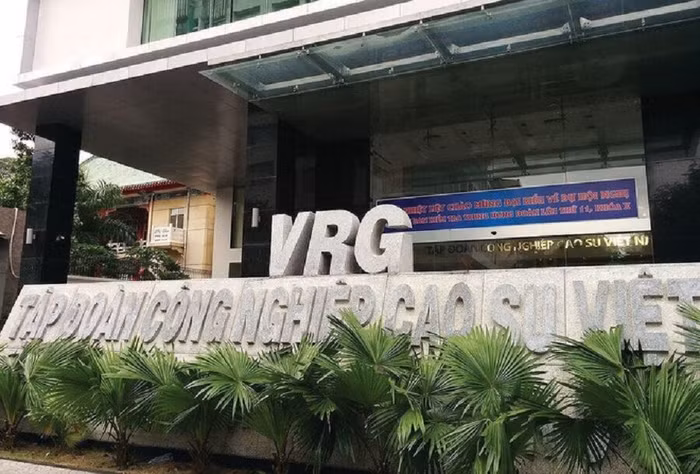 Động thái lạ của Tập đoàn cao su