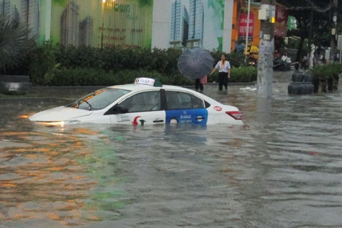 TPHCM: Mưa lớn ngập 40 tuyến đường, cây ngã đè người đi đường tử vong