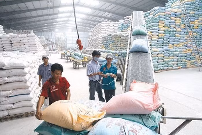 Một doanh nghiệp xuất khẩu gạo cho biết không phản đối những quy định của Nhà nước, tuy nhiên, trong bối cảnh thị trường xuất khẩu gạo đang gặp rất nhiều khó khăn, doanh nghiệp phải cạnh tranh quyết liệt với các nước thì lệnh cấm trên càng làm tình hình khó khăn thêm.