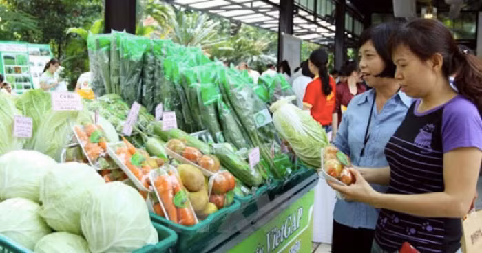 Dự kiến tổ chức Hội chợ ''Hàng Việt Nam được người tiêu dùng yêu thích'' trong tháng 9