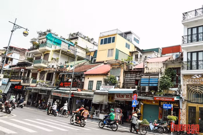 anh_phuong_hang_dao_5